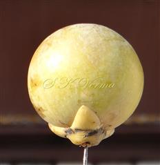 Fruit